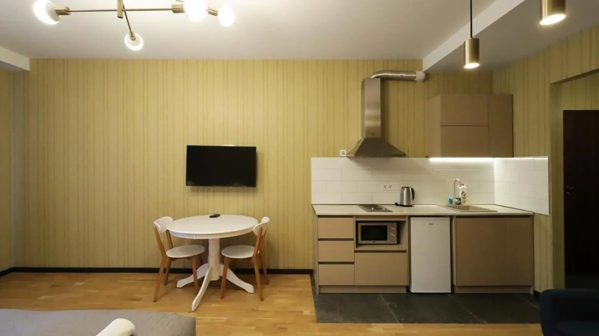 Image 3 of Stylish Studio Apt In Tbilisi