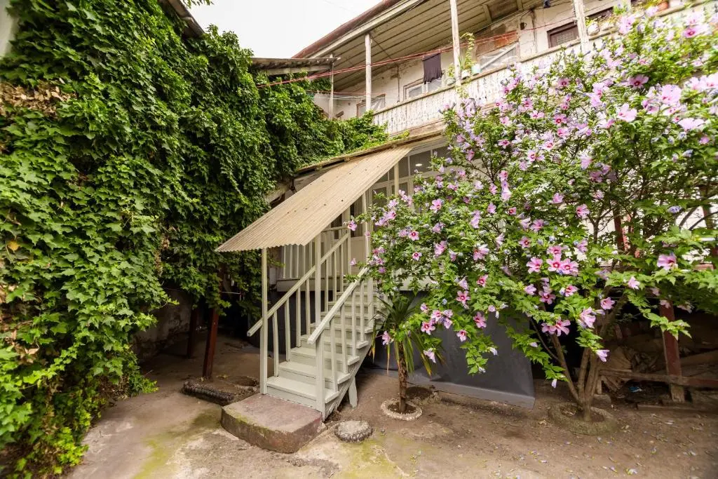 Image of Apartment in Cozy Little Yard