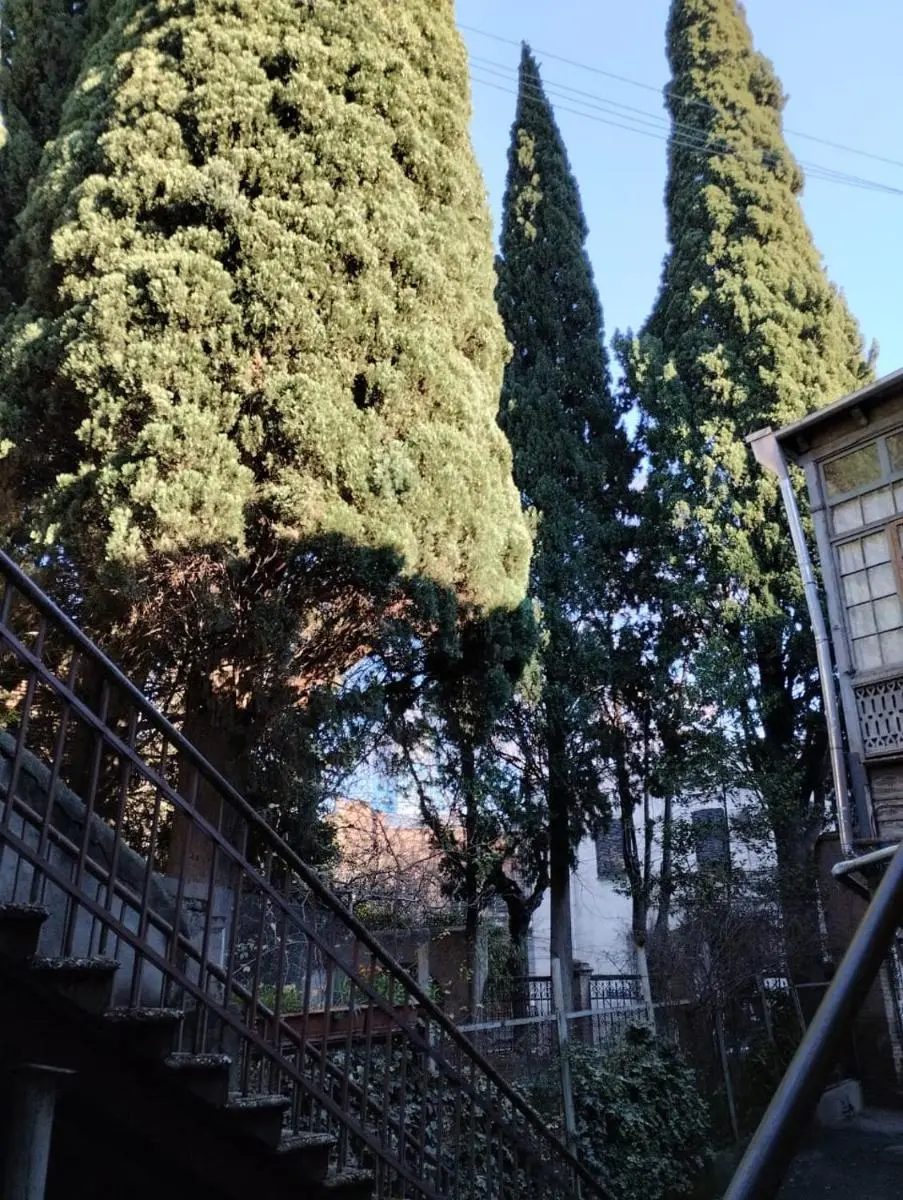 Image 3 of Central apartment of Tbilisi