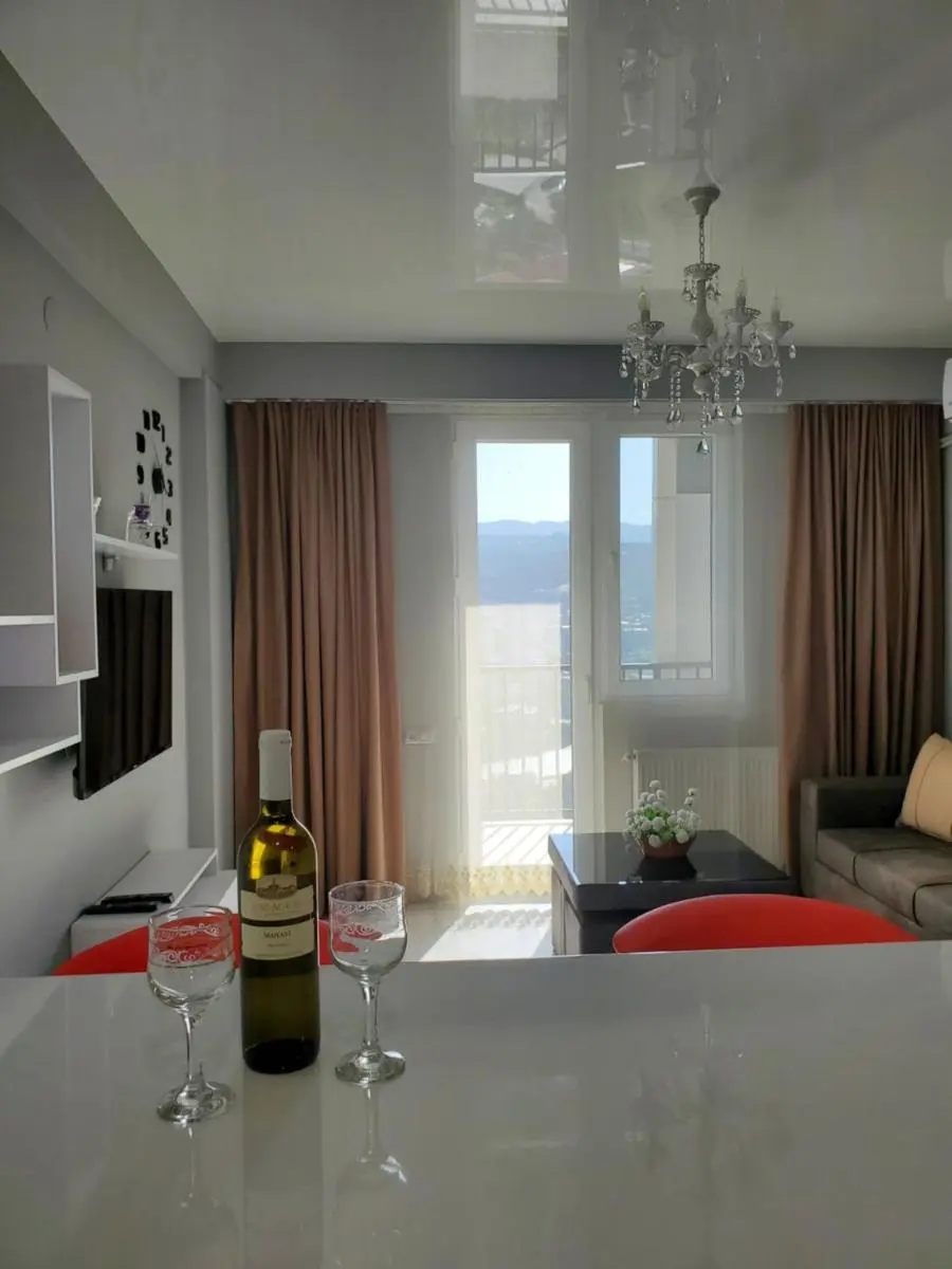Image 4 of Cozy 1-bedroom unit in Tbilisi, with amazing view