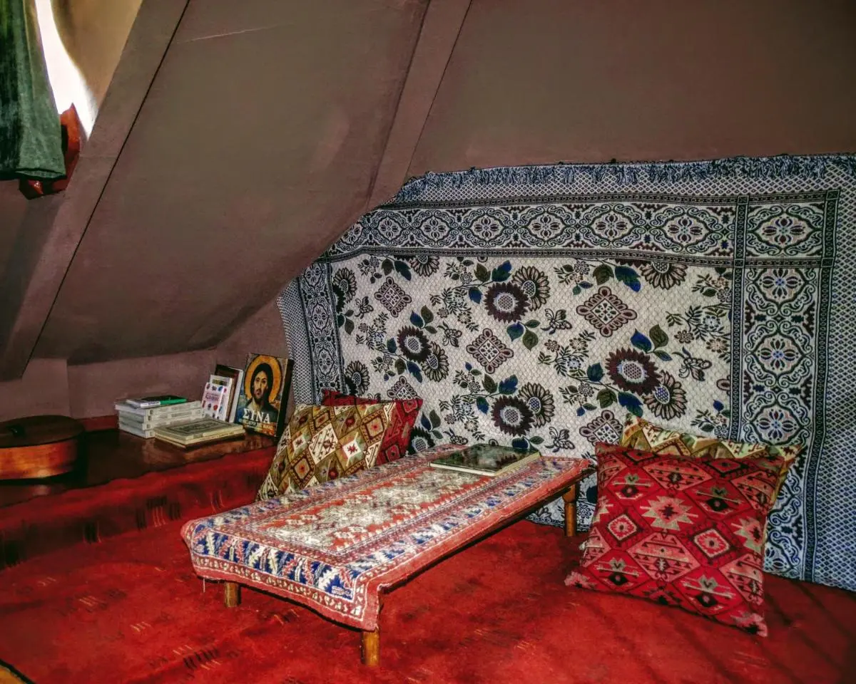 Image 6 of Papayyrti