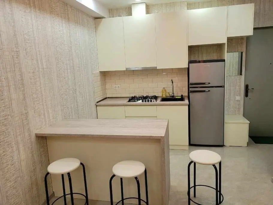 Image of Sani’s Apartment Varketili
